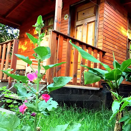 Guest house No:1281 Boutique Adrasan