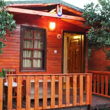 No:1281 Boutique Guest house *