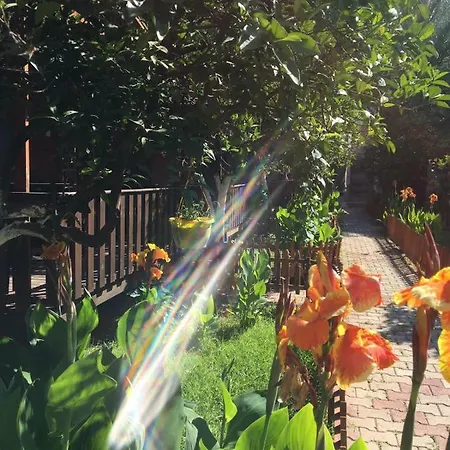 게스트하우스 No:1281 Boutique 아드라산