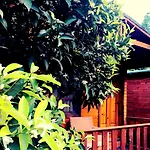 Konukevi No:1281 Boutique Adrasan