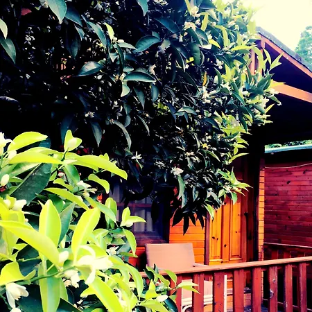 Casa de hóspedes No:1281 Boutique Adrasan